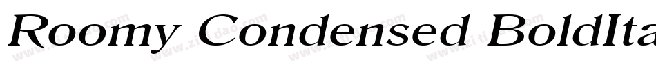 Roomy Condensed BoldItalic字体转换